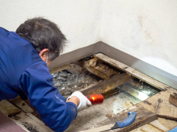 Best Emergency Mold Removal  in Cumberland, WI