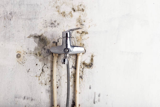 Best Office Mold Removal Services  in Cumberland, WI