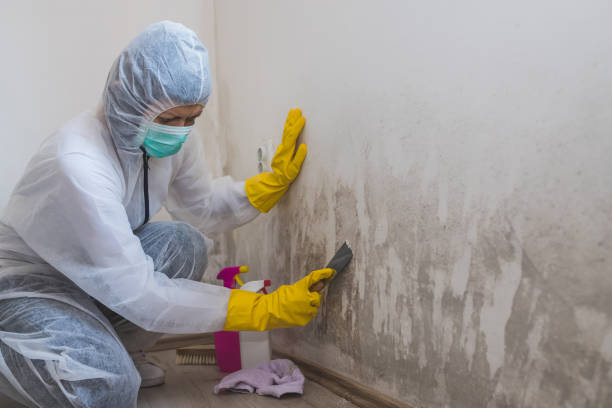 Best Crawl Space Mold Removal  in Cumberland, WI
