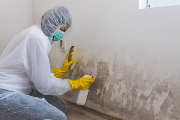 Water Damage Restoration in Cumberland, WI