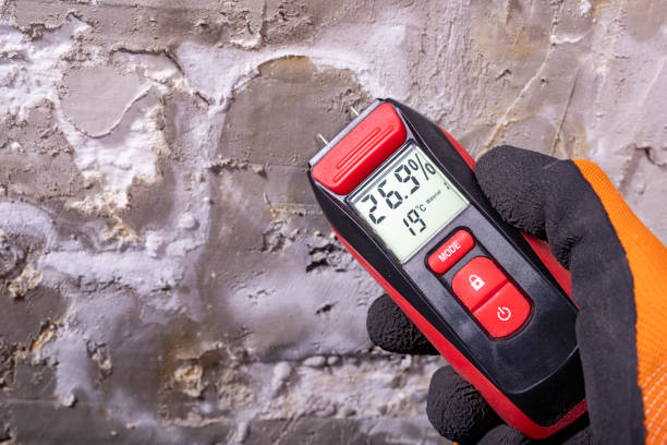 Best Local Mold Removal Service  in Cumberland, WI