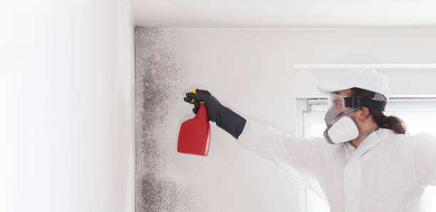 Best Affordable Mold Removal  in Cumberland, WI